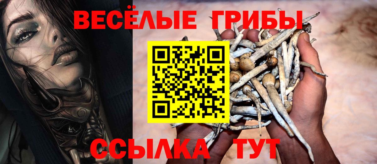 Псилоцибиновые грибы Magic Shrooms Мценск