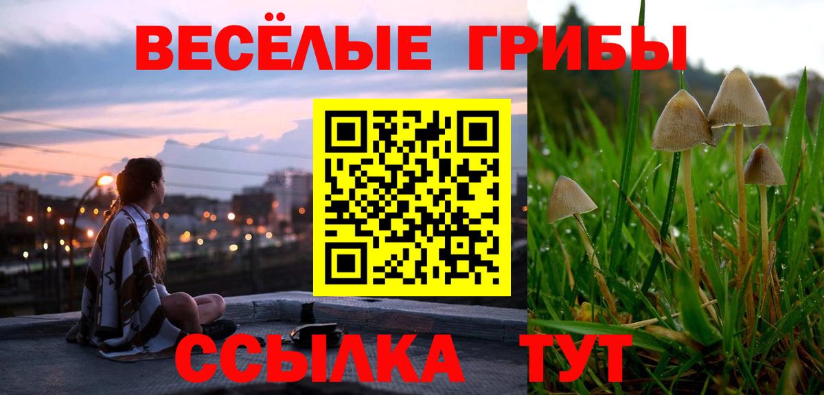Галлюциногенные грибы MAGIC MUSHROOMS  Вход с VPN  Мценск  Галлюциногенные грибы GOLDEN TEACHER 